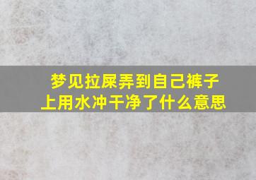 梦见拉屎弄到自己裤子上用水冲干净了什么意思