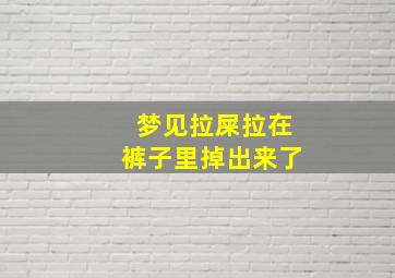 梦见拉屎拉在裤子里掉出来了