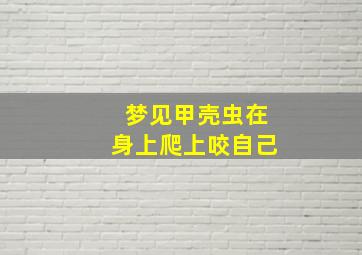 梦见甲壳虫在身上爬上咬自己