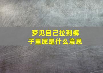 梦见自己拉到裤子里屎是什么意思