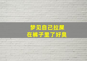 梦见自己拉屎在裤子里了好臭