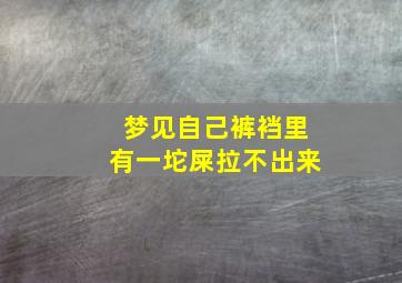 梦见自己裤裆里有一坨屎拉不出来