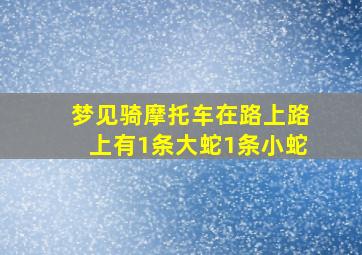 梦见骑摩托车在路上路上有1条大蛇1条小蛇