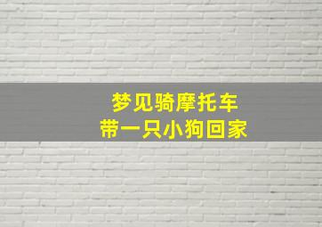 梦见骑摩托车带一只小狗回家