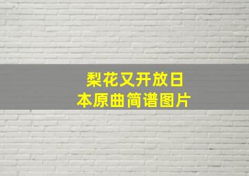 梨花又开放日本原曲简谱图片