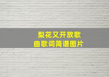 梨花又开放歌曲歌词简谱图片