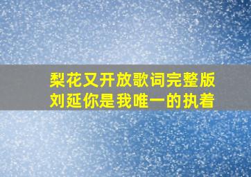 梨花又开放歌词完整版刘延你是我唯一的执着