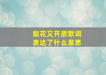 梨花又开放歌词表达了什么意思