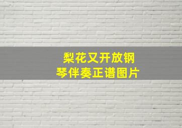 梨花又开放钢琴伴奏正谱图片