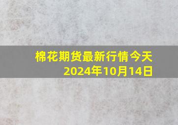 棉花期货最新行情今天2024年10月14日