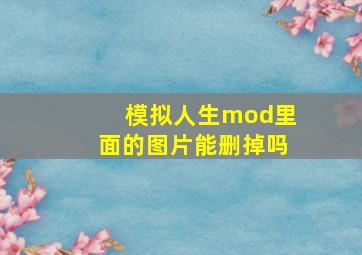 模拟人生mod里面的图片能删掉吗