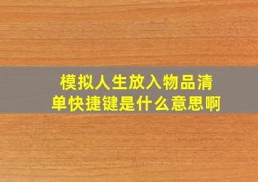 模拟人生放入物品清单快捷键是什么意思啊