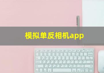 模拟单反相机app