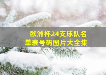 欧洲杯24支球队名单表号码图片大全集