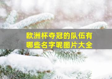 欧洲杯夺冠的队伍有哪些名字呢图片大全