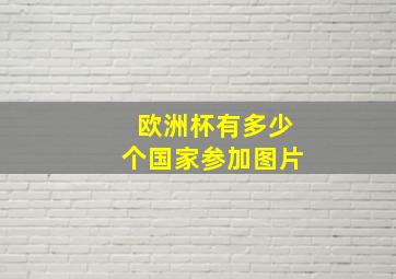 欧洲杯有多少个国家参加图片