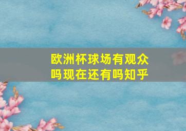 欧洲杯球场有观众吗现在还有吗知乎