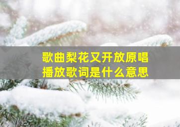 歌曲梨花又开放原唱播放歌词是什么意思