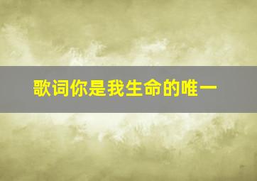 歌词你是我生命的唯一