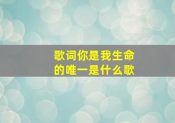 歌词你是我生命的唯一是什么歌