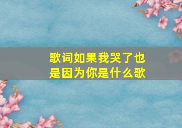 歌词如果我哭了也是因为你是什么歌