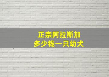 正宗阿拉斯加多少钱一只幼犬