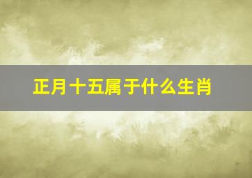 正月十五属于什么生肖