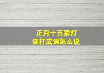 正月十五猜灯谜打成语怎么说