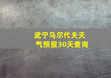 武宁马尔代夫天气预报30天查询