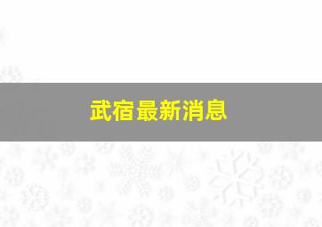 武宿最新消息