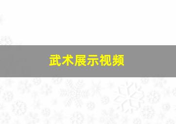 武术展示视频