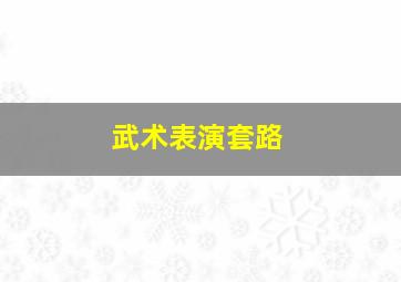 武术表演套路