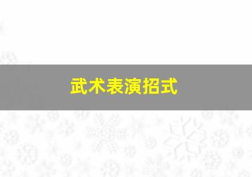 武术表演招式