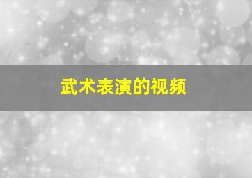 武术表演的视频