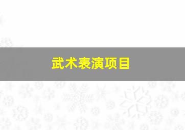 武术表演项目