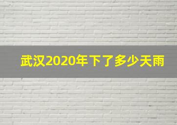 武汉2020年下了多少天雨