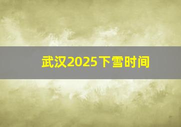 武汉2025下雪时间