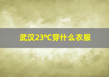 武汉23℃穿什么衣服