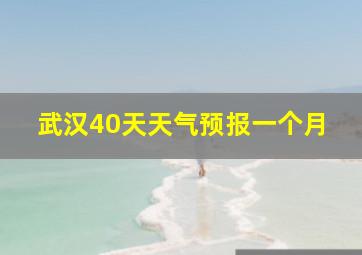 武汉40天天气预报一个月