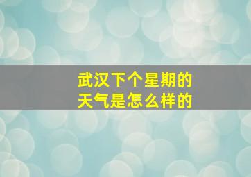 武汉下个星期的天气是怎么样的