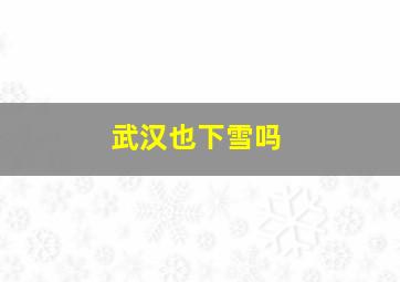 武汉也下雪吗