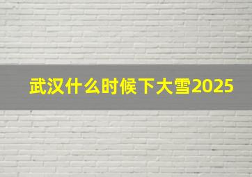 武汉什么时候下大雪2025