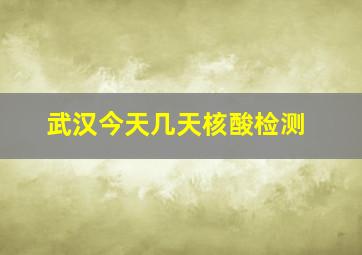 武汉今天几天核酸检测