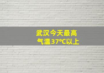 武汉今天最高气温37℃以上