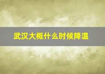 武汉大概什么时候降温