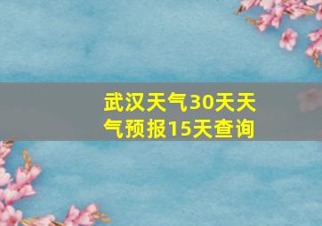 武汉天气30天天气预报15天查询