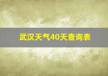 武汉天气40天查询表