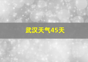 武汉天气45天