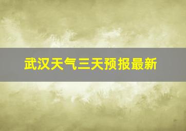 武汉天气三天预报最新