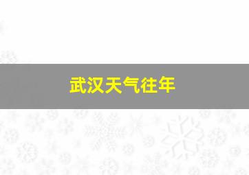 武汉天气往年